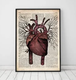 Heart II - Page du dictionnaire-Codex Anatomicus New