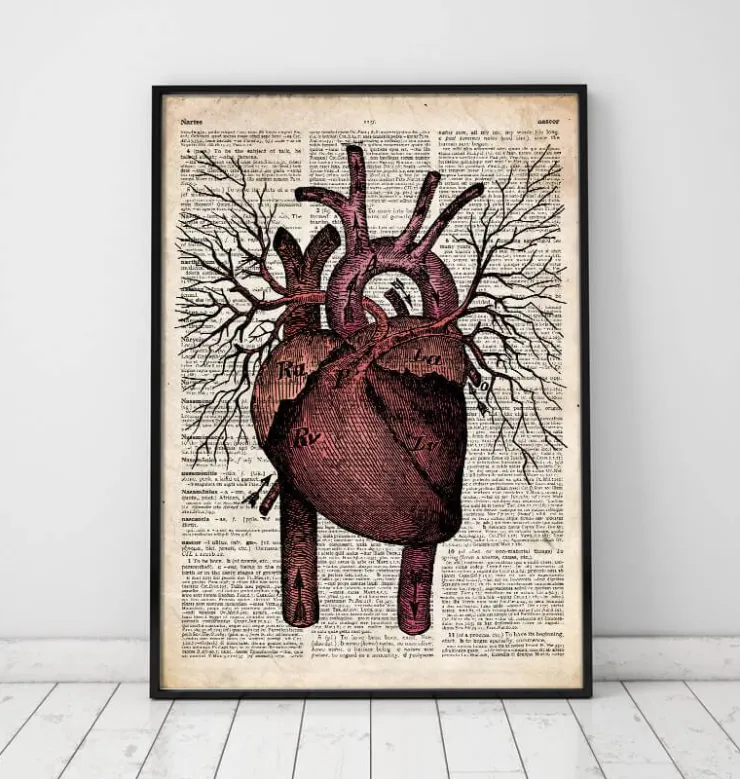 Heart II - Page du dictionnaire-Codex Anatomicus New