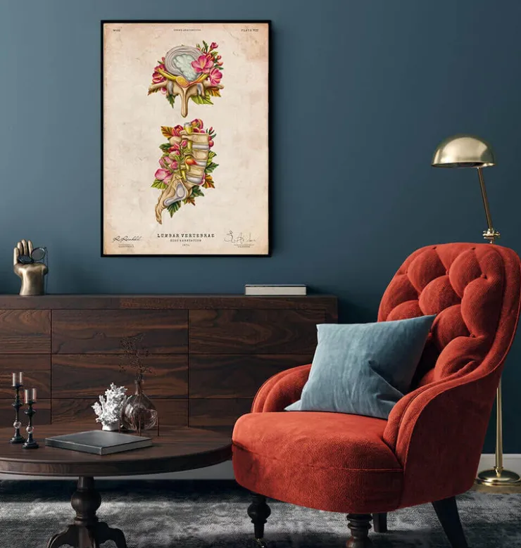 Hernie discale - Floral - Vintage-Codex Anatomicus Online