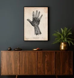 Impression d'anatomie de la main humaine IV-Codex Anatomicus New