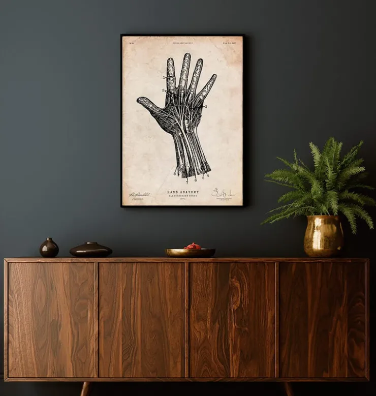 Impression d'anatomie de la main humaine IV-Codex Anatomicus New