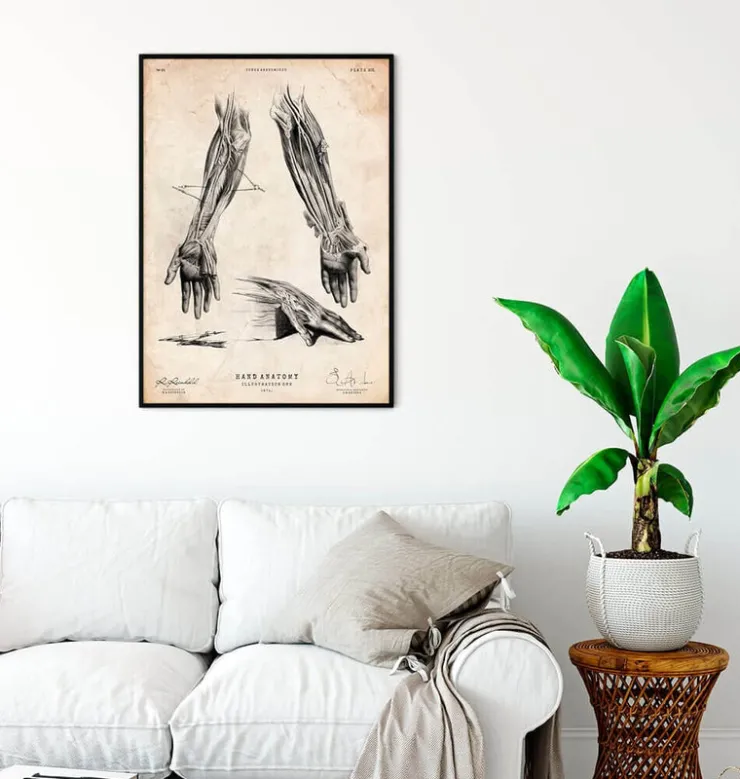 Impression d'anatomie de la main humaine III-Codex Anatomicus Outlet