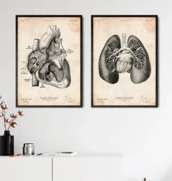 Impression d'anatomie pulmonaire II-Codex Anatomicus Discount