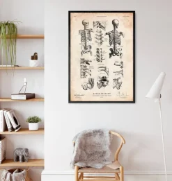 Imprimé squelette humain IV-Codex Anatomicus Outlet