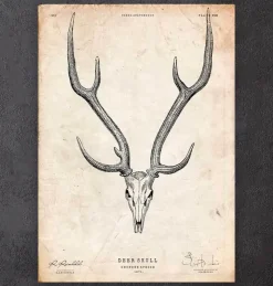 Imprimé tête de mort cerf II-Codex Anatomicus New
