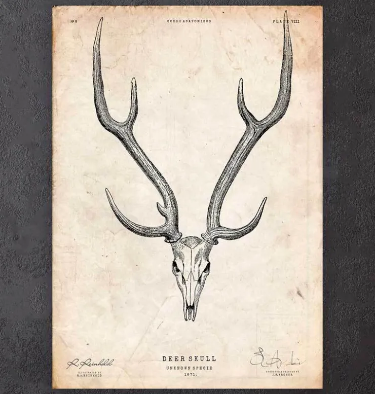 Imprimé tête de mort cerf II-Codex Anatomicus New