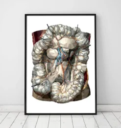 Intestins géométriques-Codex Anatomicus Hot