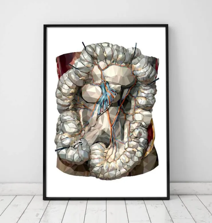 Intestins géométriques-Codex Anatomicus Hot