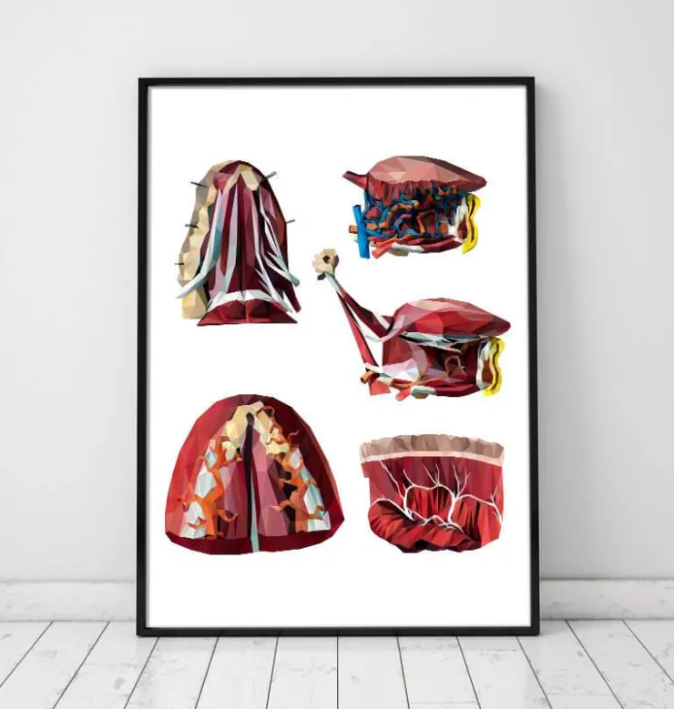 Languette géométrique-Codex Anatomicus Discount