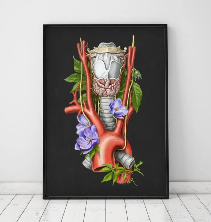 Larynx, thyroïde et aorte - Aquarelle - Noir-Codex Anatomicus Outlet