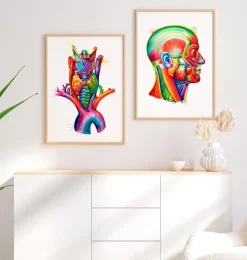 Larynx, thyroïde et aorte - aquarelle-Codex Anatomicus Outlet
