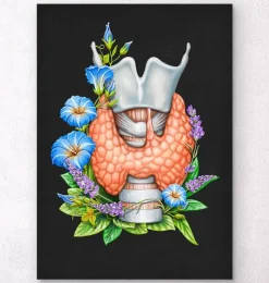 Larynx, thyroïde et aorte - Aquarelle - Blanc-Codex Anatomicus Outlet