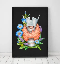 Larynx, thyroïde et aorte - Aquarelle - Blanc-Codex Anatomicus Outlet