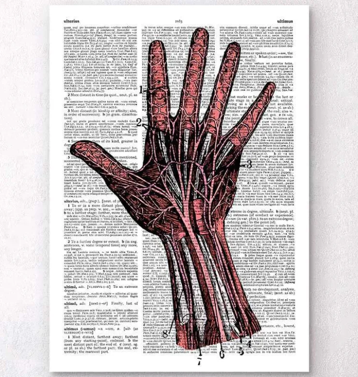 Main - page Dictionnaire-Codex Anatomicus Outlet