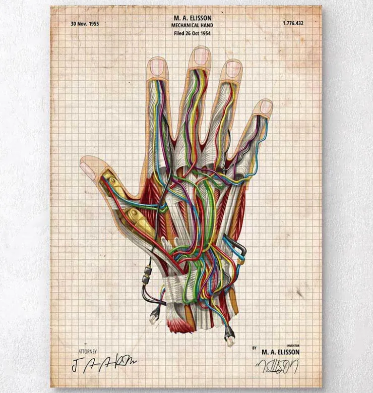Main mécanique-Codex Anatomicus Outlet