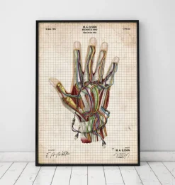 Main mécanique-Codex Anatomicus Outlet