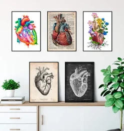 Mix d'anatomie cardiaque - Lot de 5-Codex Anatomicus Sale