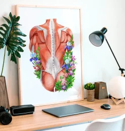 Muscles du dos masculins - Floral - Blanc-Codex Anatomicus Sale