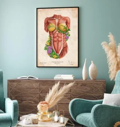Muscles du torse féminin - Floral - Vieux papier-Codex Anatomicus Outlet