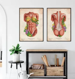 Muscles du torse féminin - Floral - Vieux papier-Codex Anatomicus Outlet