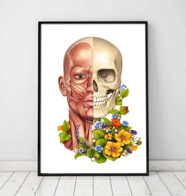 Muscles du visage - Floral - Blanc-Codex Anatomicus Discount