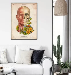 Muscles du visage - Floral - Vieux Papier-Codex Anatomicus Hot