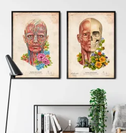 Muscles du visage - Floral - Vieux Papier-Codex Anatomicus Hot