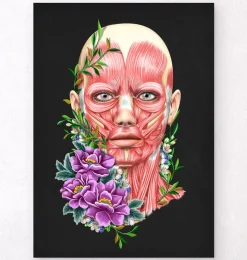 Muscles du visage II - Floral - Noir-Codex Anatomicus