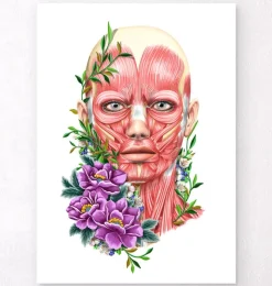 Muscles du visage II - Floral - Blanc-Codex Anatomicus Hot