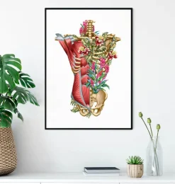 Muscles et os du torse - Floral - Blanc-Codex Anatomicus Discount