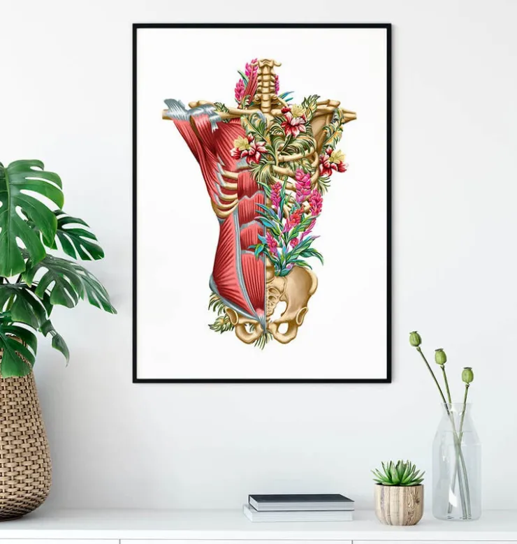 Muscles et os du torse - Floral - Blanc-Codex Anatomicus Discount