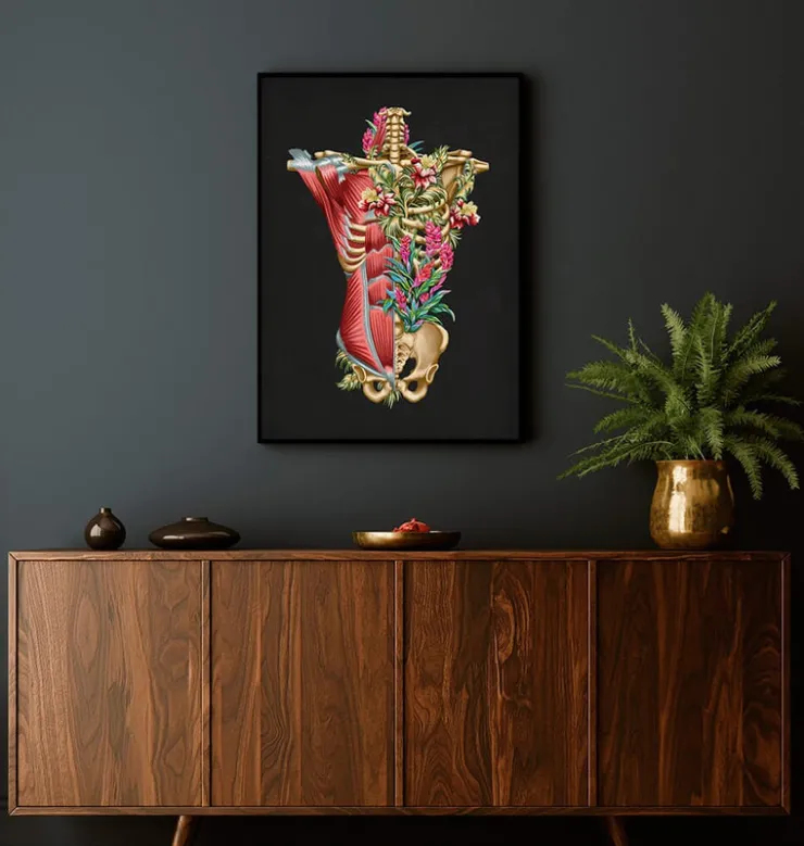 Muscles et os du torse - Floral - Noir-Codex Anatomicus Sale