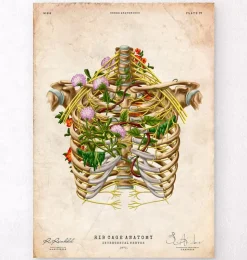 Nerf intercostal - Floral - Vintage-Codex Anatomicus New