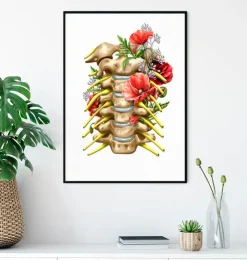 Nerfs cervicaux - Floral - Blanc-Codex Anatomicus Best