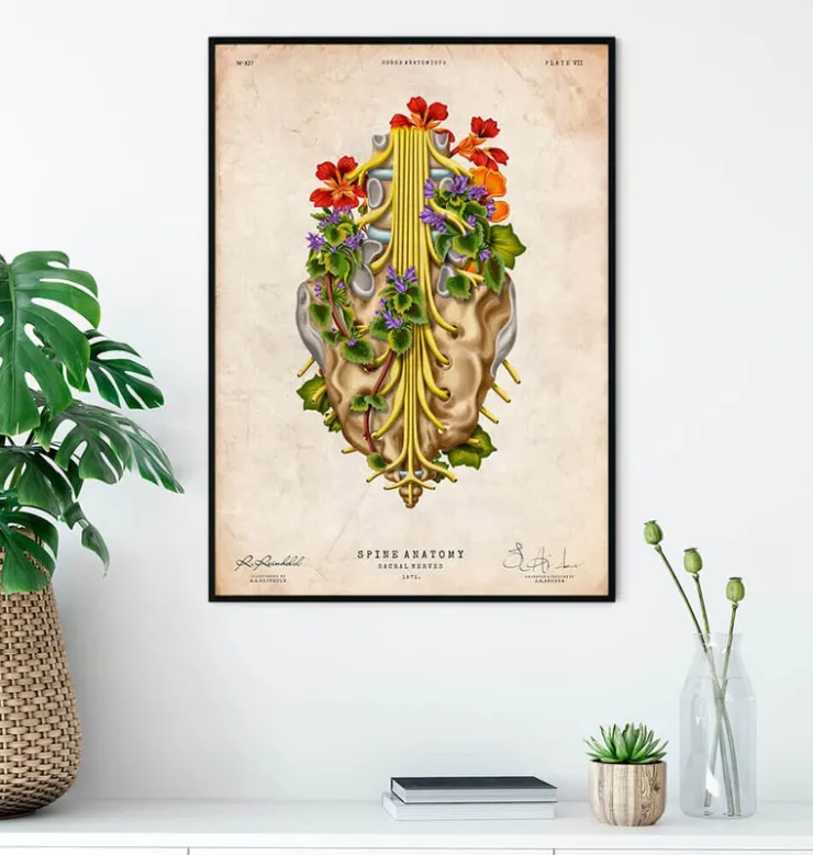 Nerfs sacrés - Floral - Vintage-Codex Anatomicus Online