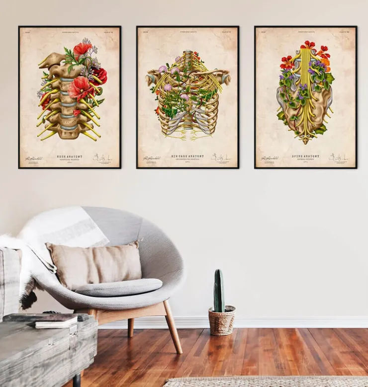 Nerfs sacrés - Floral - Vintage-Codex Anatomicus Online