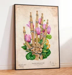 Os d'une main - Vintage-Codex Anatomicus Clearance