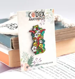 Polygone de Willis - Pins-Codex Anatomicus
