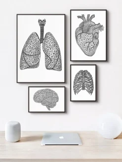 Poumons géométriques minimaux-Codex Anatomicus Discount
