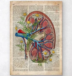 Rein avec des fleurs - Ancien dictionnaire-Codex Anatomicus Sale