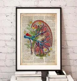 Rein avec des fleurs - Ancien dictionnaire-Codex Anatomicus Sale