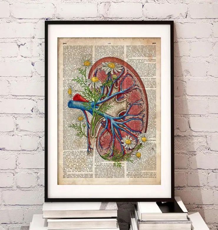 Rein avec des fleurs - Ancien dictionnaire-Codex Anatomicus Sale