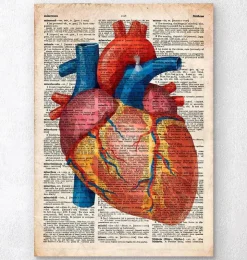 Rein géométrique III - Dictionnaire-Codex Anatomicus Clearance