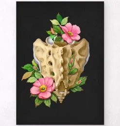 Sacrum et coccyx - Floral - Noir-Codex Anatomicus Clearance