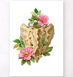 Sacrum et coccyx - Floral - Blanc-Codex Anatomicus Best
