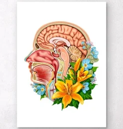Section de tête - Floral - Blanc-Codex Anatomicus Clearance