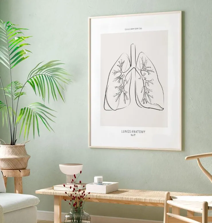 Section des poumons - Line Art-Codex Anatomicus Sale
