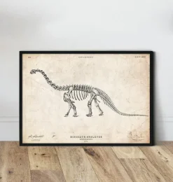 Squelette de dinosaure - Apatosaurus-Codex Anatomicus Sale