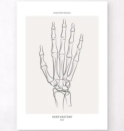 Squelette de la main - Line Art-Codex Anatomicus Discount