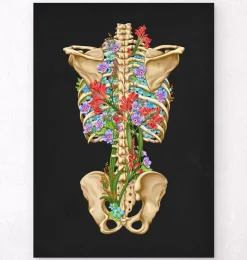 Squelette du dos - Floral - Blanc-Codex Anatomicus Best